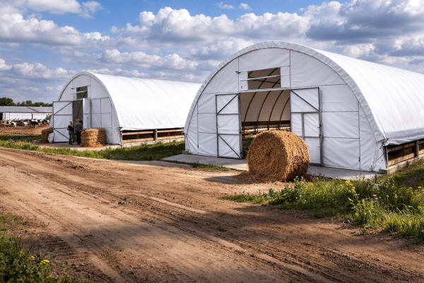 Hangars for grain storage