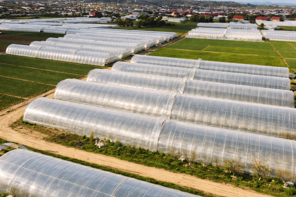 Greenhouses