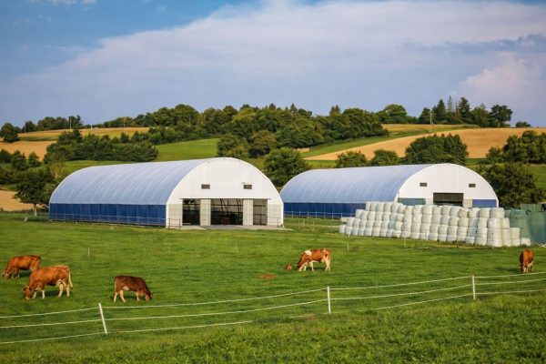 Livestock hangar